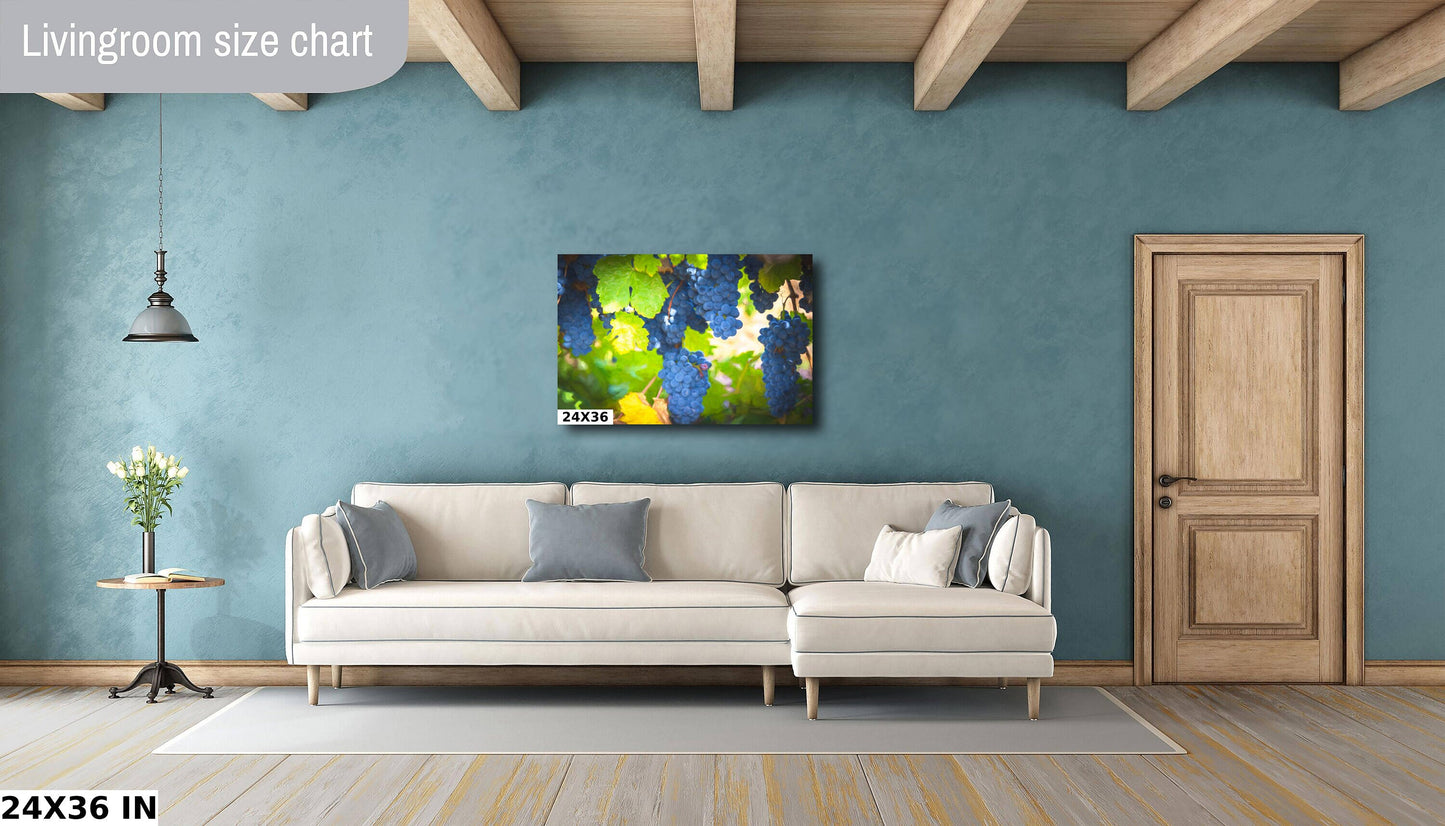 Vineyard Fine Art Photography | California Ripe Wine Grapes Photo | Winery Canvas Wall Art Poster | Vineyard Print, Acrylic, Metal, Paper