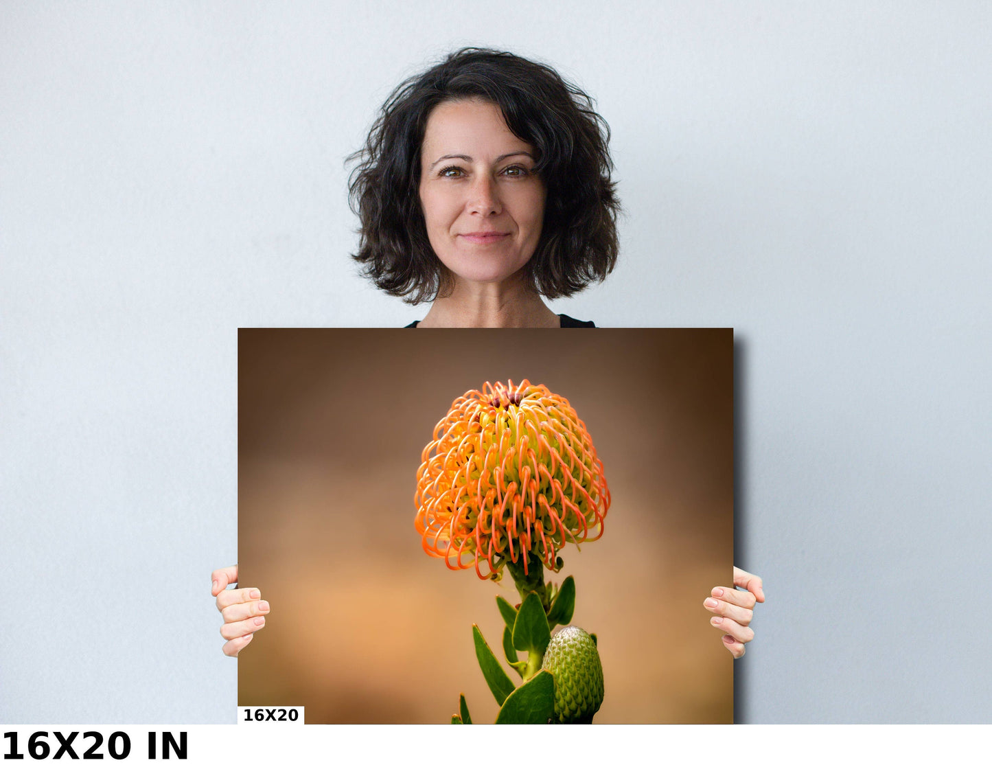 Protea Flame Giant Fine Art photography | Cape Town South Africa Kirstenbosch Garden Canvas Wall Art, home, office decor | flowers