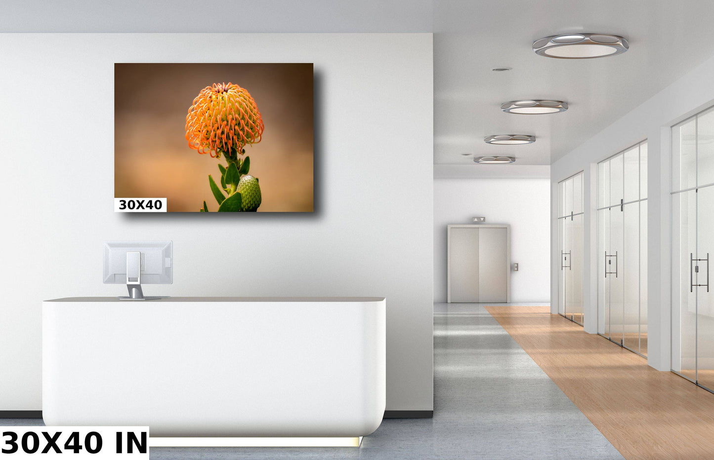 Protea Flame Giant Fine Art photography | Cape Town South Africa Kirstenbosch Garden Canvas Wall Art, home, office decor | flowers