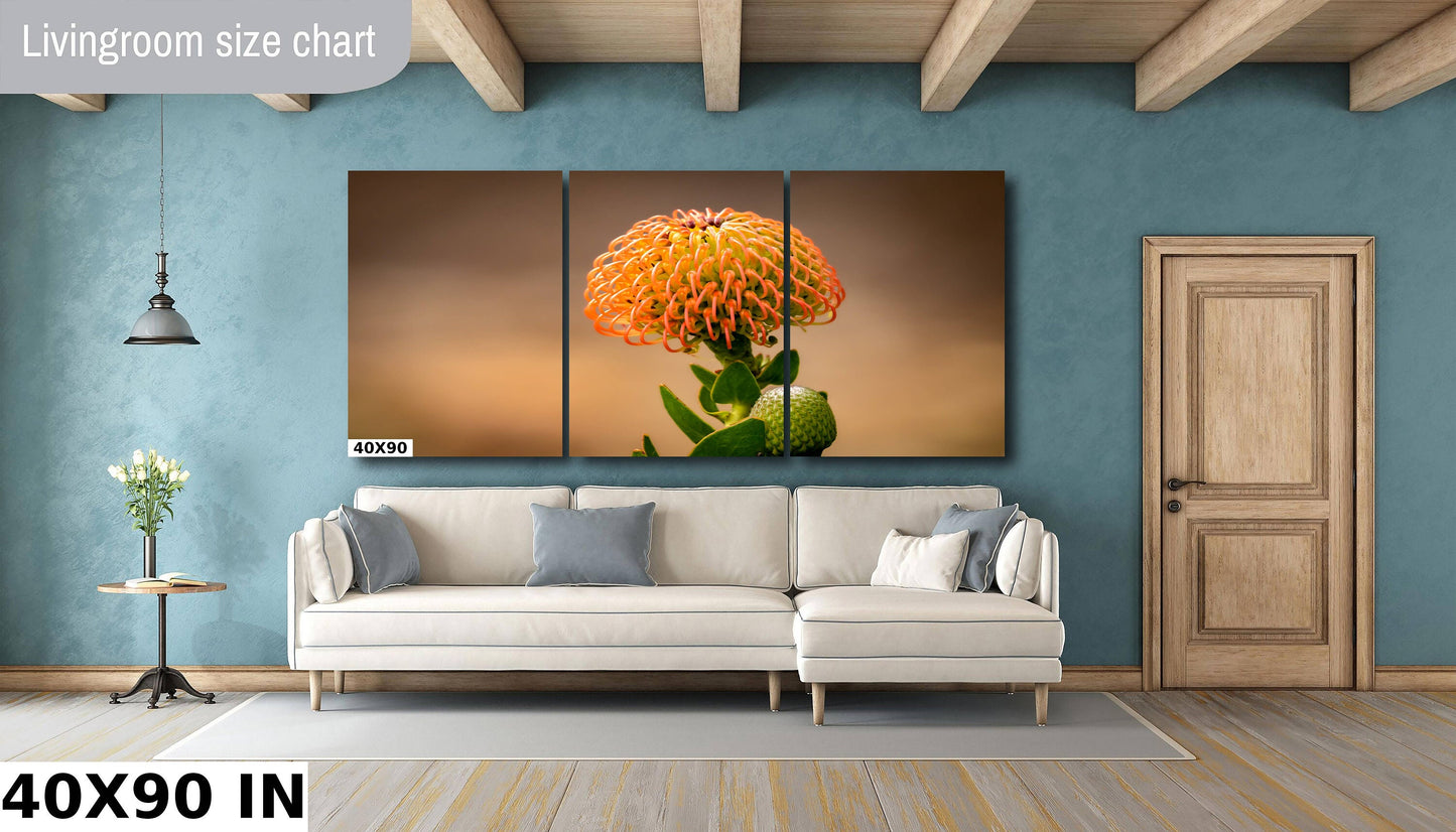 Protea Flame Giant Fine Art photography | Cape Town South Africa Kirstenbosch Garden Canvas Wall Art, home, office decor | flowers