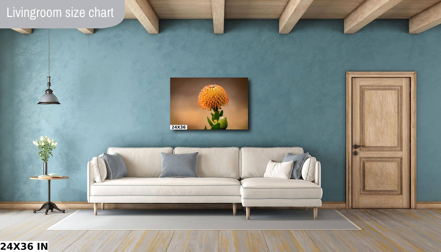 Protea Flame Giant Fine Art photography | Cape Town South Africa Kirstenbosch Garden Canvas Wall Art, home, office decor | flowers
