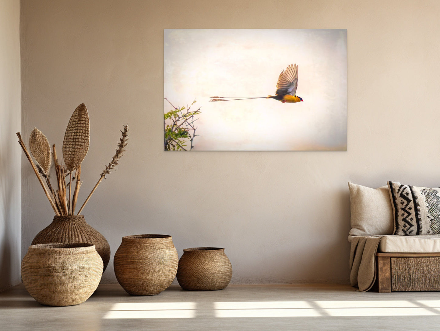 African Birds Fine Art photography | Pin-Tailed Whyda Print, Canvas Wildlife Wall Art, South Africa Bird Poster, home, office picture