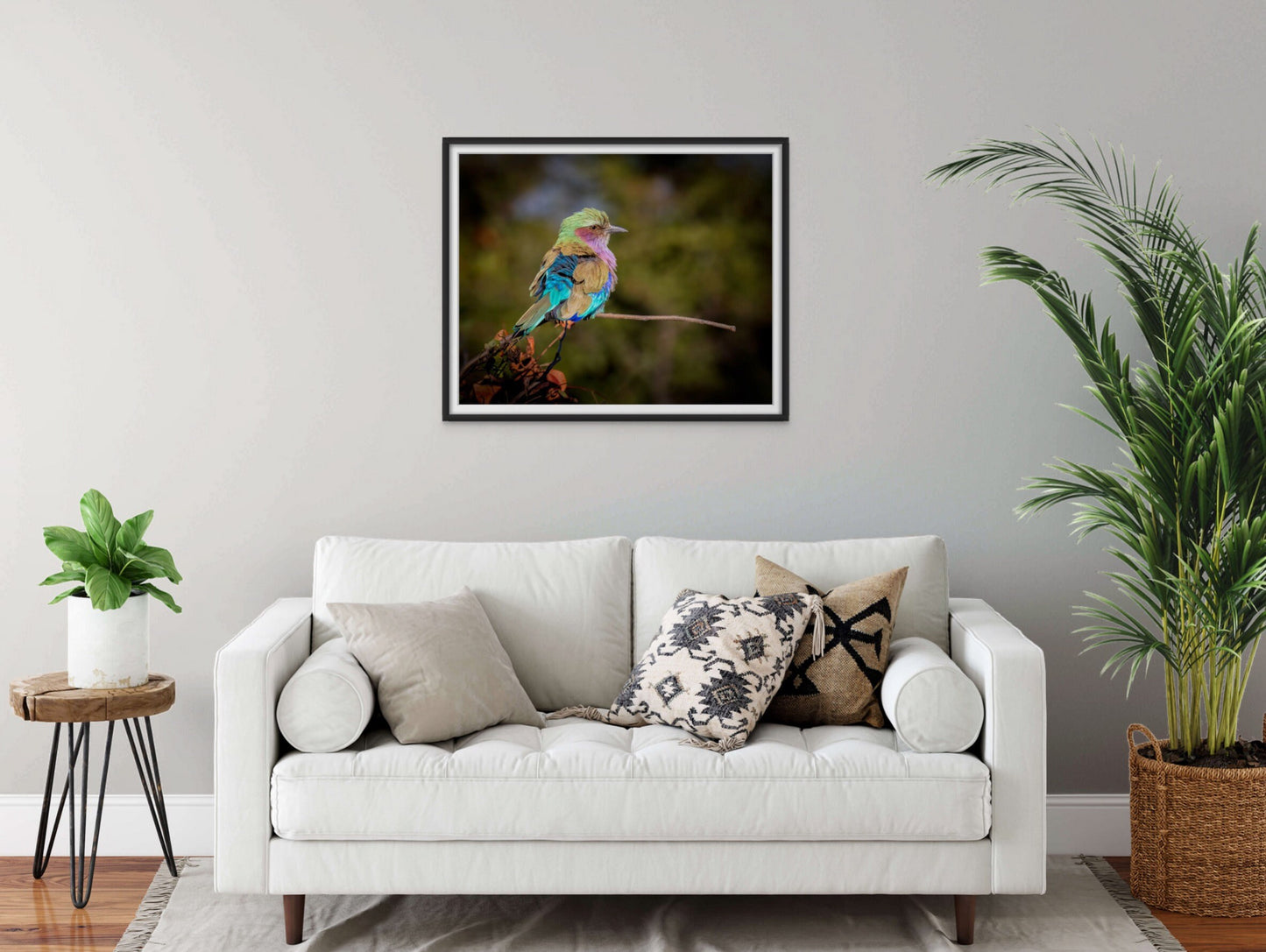 African Birds Poster | Lilac Breasted Roller Nature Print, Canvas Wildlife Wall Art Photo | Fine Art Photography | home, office decor