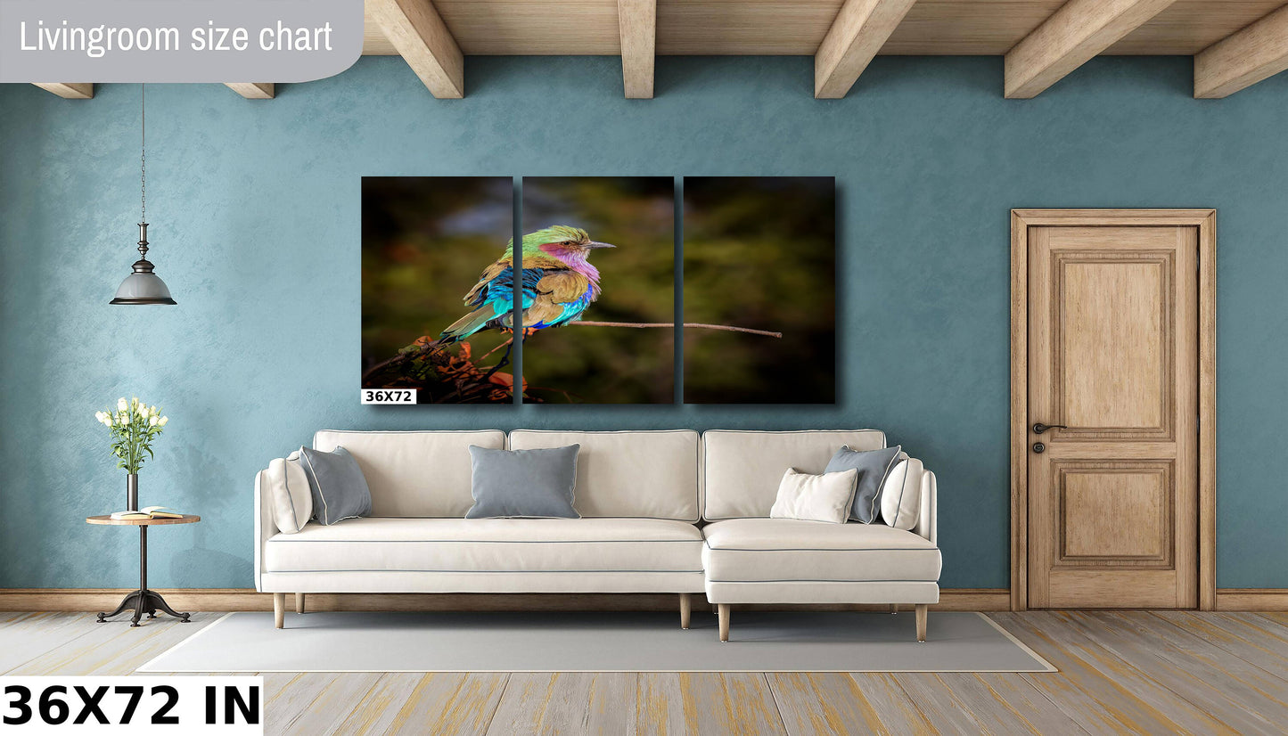 African Birds Poster | Lilac Breasted Roller Nature Print, Canvas Wildlife Wall Art Photo | Fine Art Photography | home, office decor