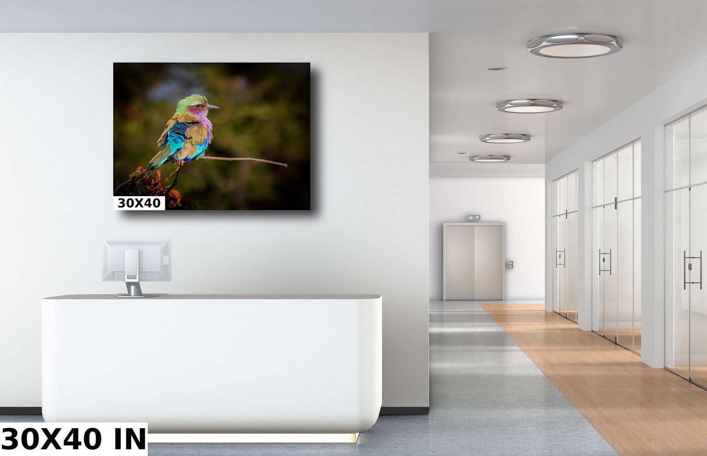 African Birds Poster | Lilac Breasted Roller Nature Print, Canvas Wildlife Wall Art Photo | Fine Art Photography | home, office decor