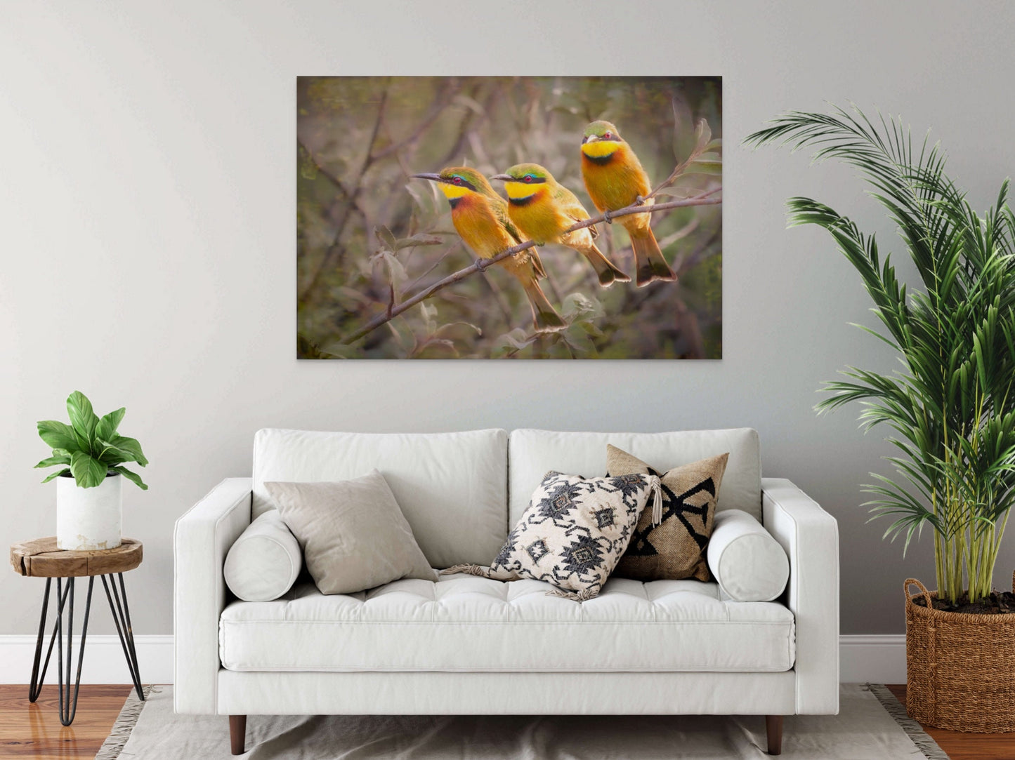 African Birds Fine Art photography | Little Bee Eaters, Nature Print, Canvas Wildlife Wall Art | Wildlife Poster | home, office decor