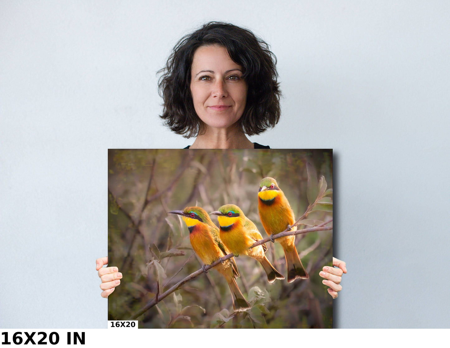 African Birds Fine Art photography | Little Bee Eaters, Nature Print, Canvas Wildlife Wall Art | Wildlife Poster | home, office decor