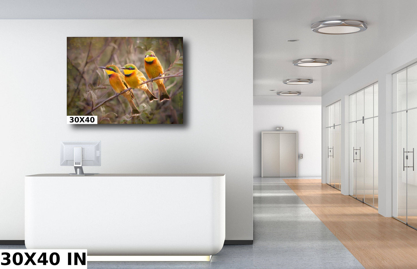 African Birds Fine Art photography | Little Bee Eaters, Nature Print, Canvas Wildlife Wall Art | Wildlife Poster | home, office decor