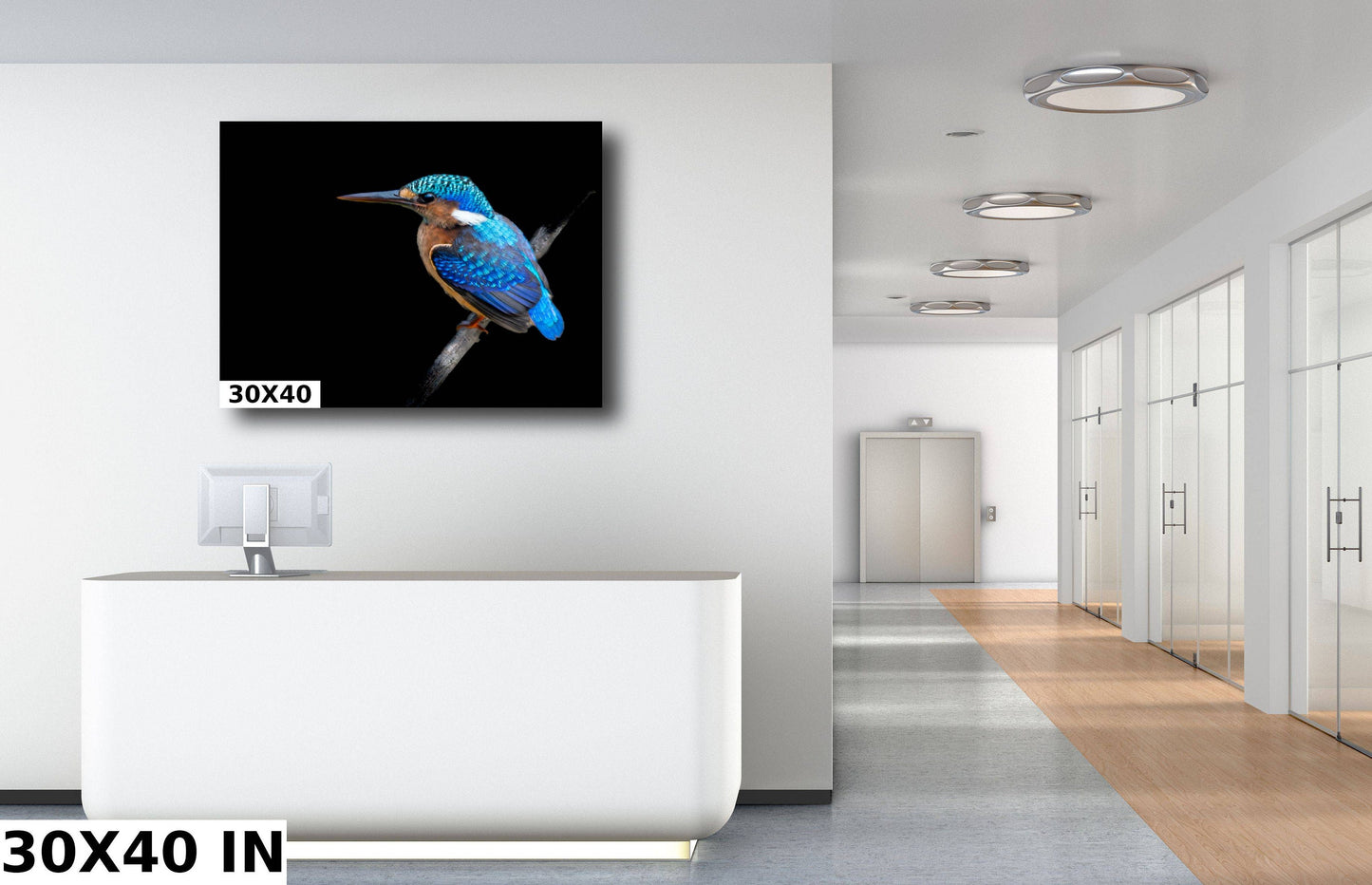 African Birds Poster | Malagasy Kingfisher Nature Print, Canvas Wildlife Wall Art | Fine Art Photography | home, office decor
