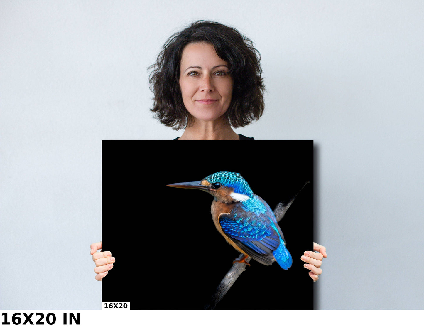 African Birds Poster | Malagasy Kingfisher Nature Print, Canvas Wildlife Wall Art | Fine Art Photography | home, office decor