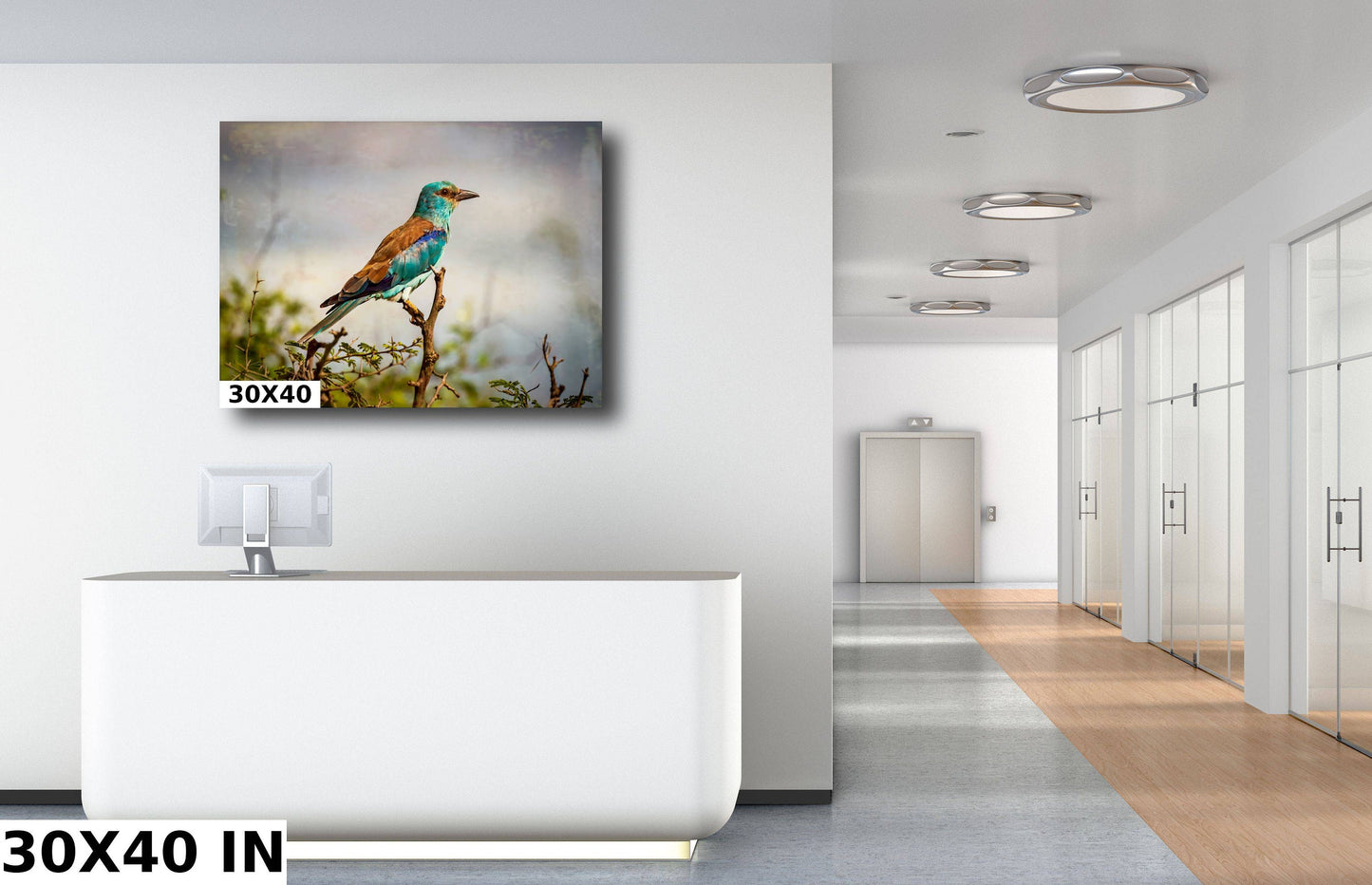 African Birds | Fine Art Photography | Abyssian Roller Nature Print, Africa Bird Wall Art, Canvas Wildlife Poster | home, office decor