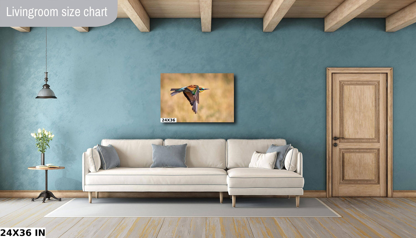 African Bird in Flight Photo | European Roller Fine Art Photography, Nature Canvas Wall Art, Wildlife Poster | | Print home, office decor
