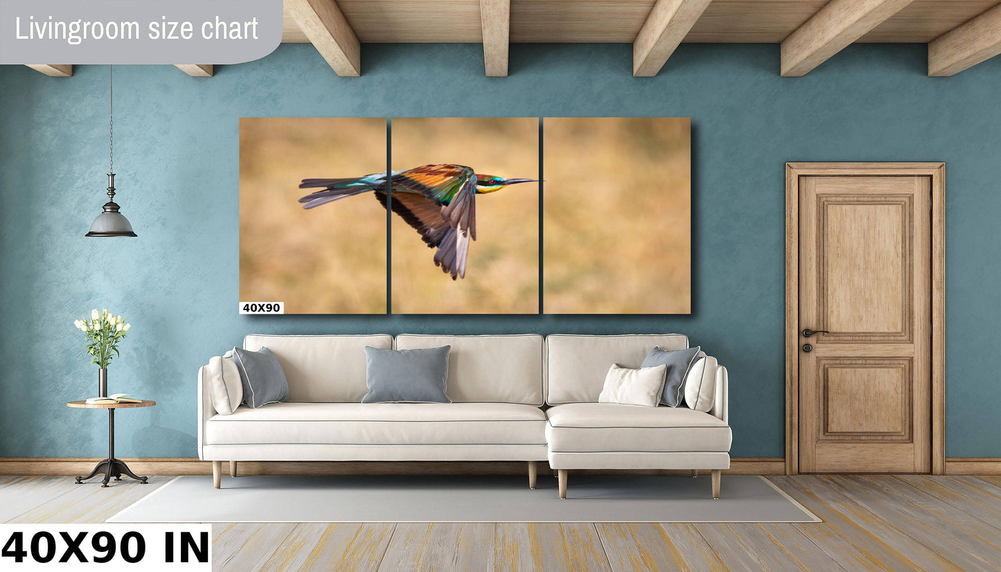 African Bird in Flight Photo | European Roller Fine Art Photography, Nature Canvas Wall Art, Wildlife Poster | | Print home, office decor