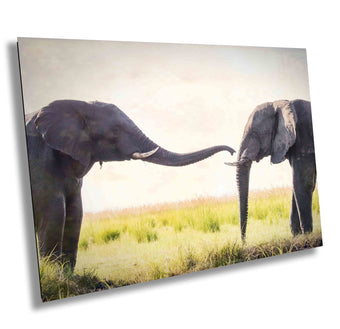 compare product African Elephant pair greeting, Wildlife Photography, Animal Photo Print, Nature Wall Art, Canvas Print, Acrylic print