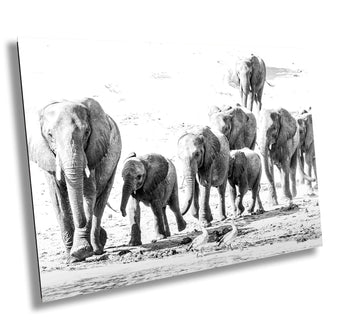 compare product African Elephant, Wildlife Photography, Black and White Animal Poster, Nature Wall Art, Canvas Print, Acrylic print, Fine Art Photography