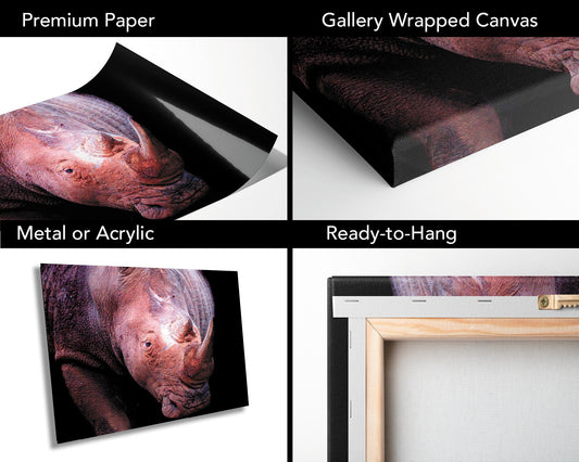 Rhino, Africa Wildlife Photography | Canvas Wall Art | Animal Poster, Nature Wall Art| Fine Art Photography | Canvas, Acrylic, Paper, Metal