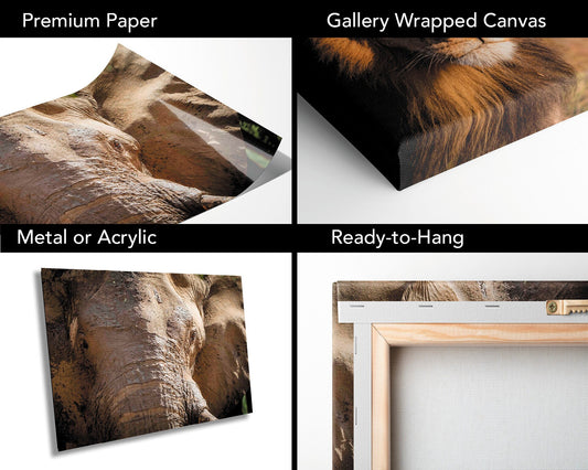 African Elephant, Wildlife Photography, stunning Canvas Animal Poster, Nature Wall Art, Fine Art Photography | home, office decor