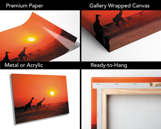 African Giraffe Print, stunning color Wildlife Canvas Wall Art, Giraffe Poster, Animal Print, Wildlife Wall Art, Fine Art Photography