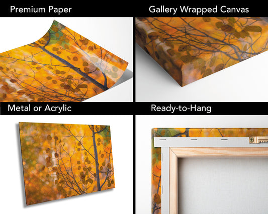 California Autumn Color Fine Art Photography | Canvas Wall Art | Sierra Nevada Fall Foliage Poster | Hope Valley Fall | home, office decor