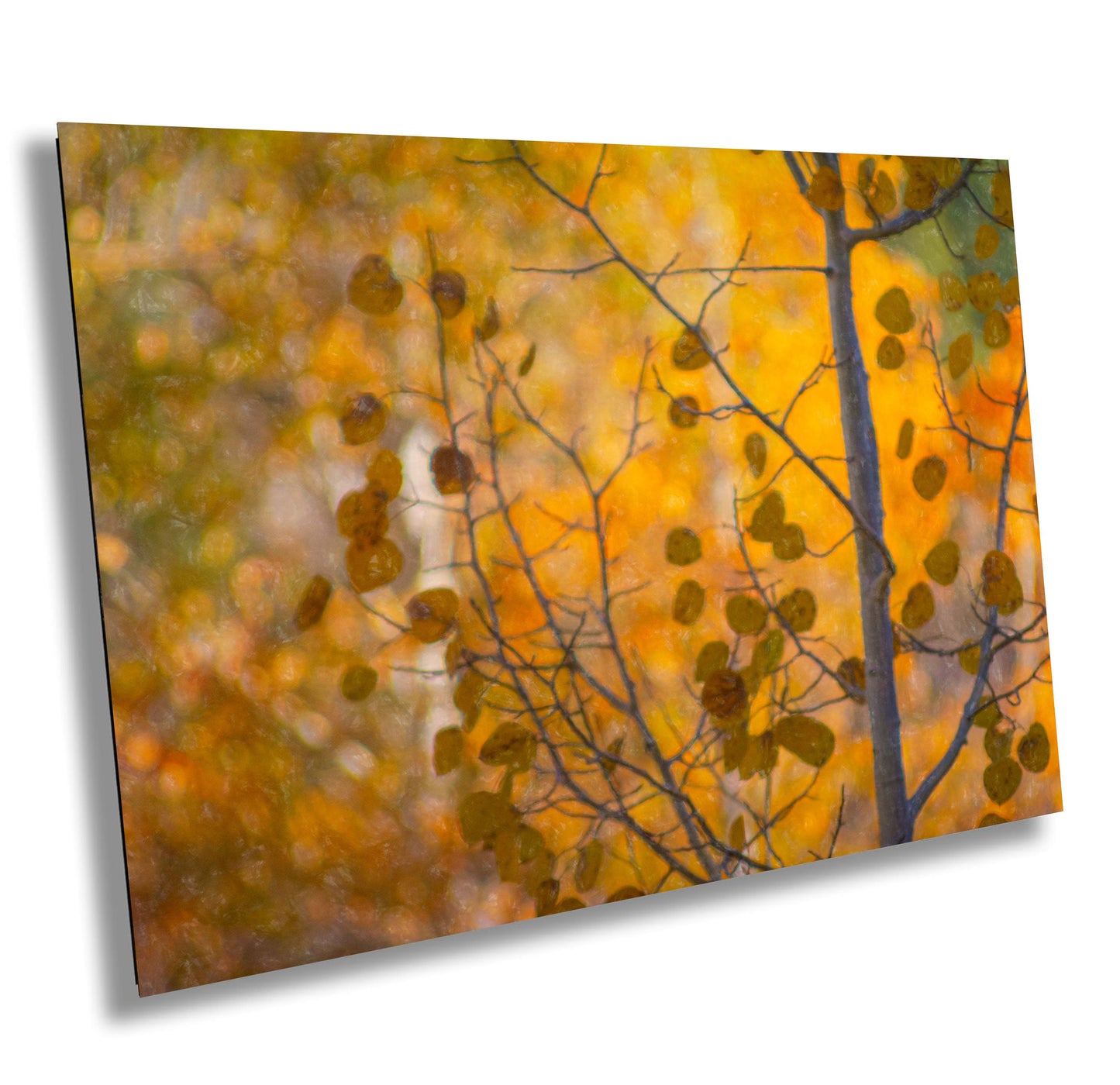 California Autumn Color Fine Art Photography | Canvas Wall Art | Sierra Nevada Fall Foliage Poster | Hope Valley Fall | home, office decor