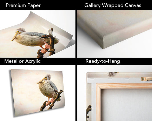 African Birds Fine Art photography | Pelican Nature Print, Serengeti Canvas Wall Art, Wildlife Poster, Bird Picture home, office decor