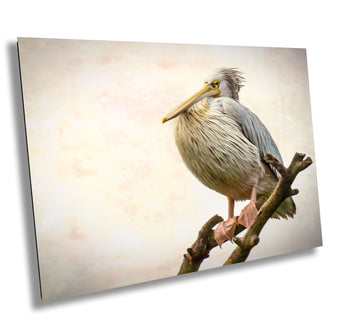 compare product African Birds Fine Art photography | Pelican Nature Print, Serengeti Canvas Wall Art, Wildlife Poster, Bird Picture home, office decor