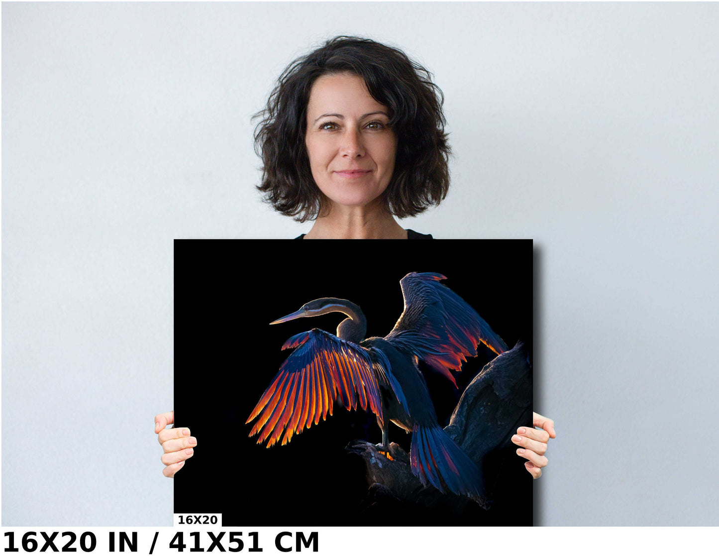 African Birds Poster Fine Art Photography | Cormorant Sunning in the African Morning Nature Print, Canvas Wildlife Wall Art | Bird Poster