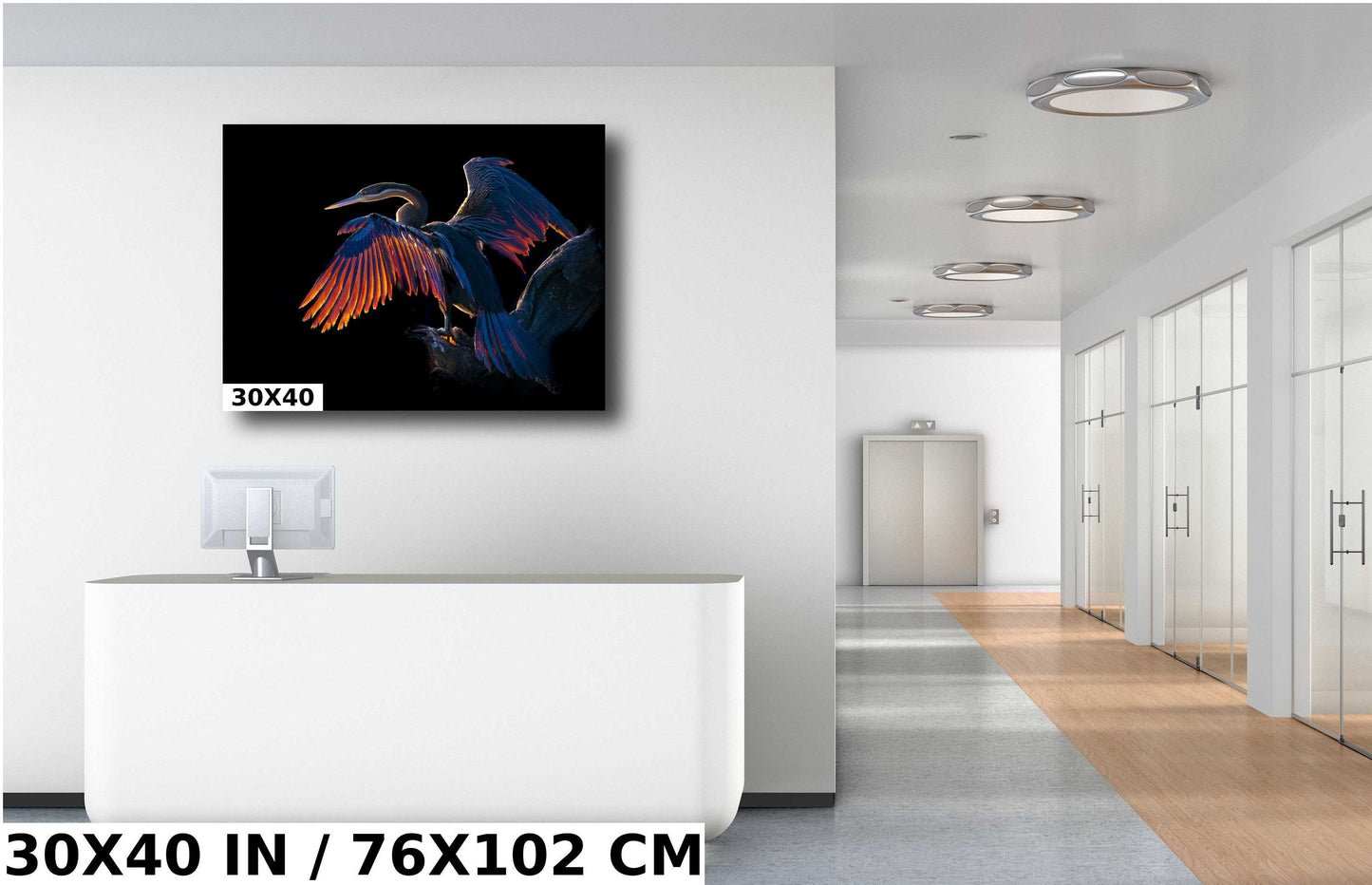 African Birds Poster Fine Art Photography | Cormorant Sunning in the African Morning Nature Print, Canvas Wildlife Wall Art | Bird Poster