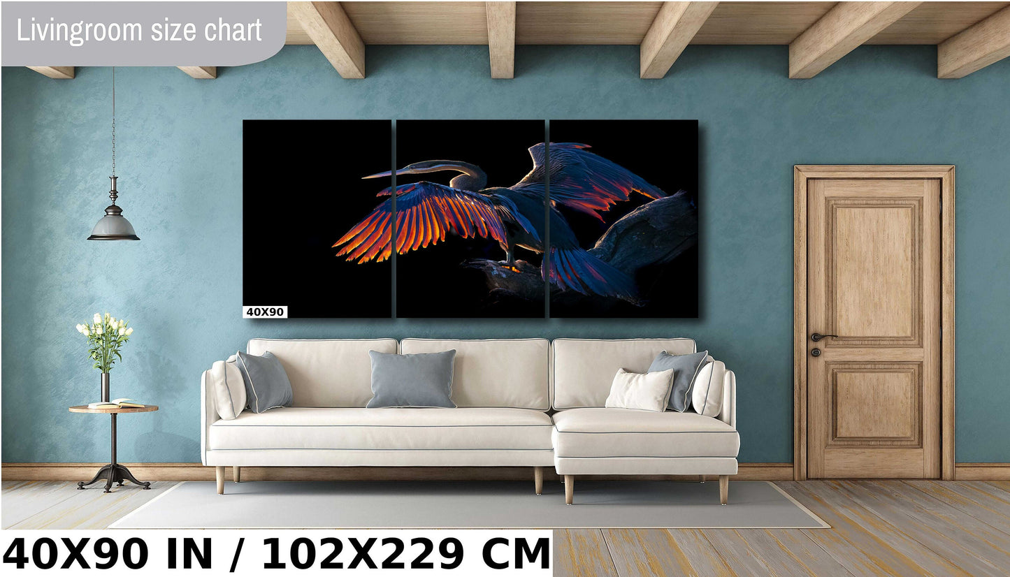African Birds Poster Fine Art Photography | Cormorant Sunning in the African Morning Nature Print, Canvas Wildlife Wall Art | Bird Poster