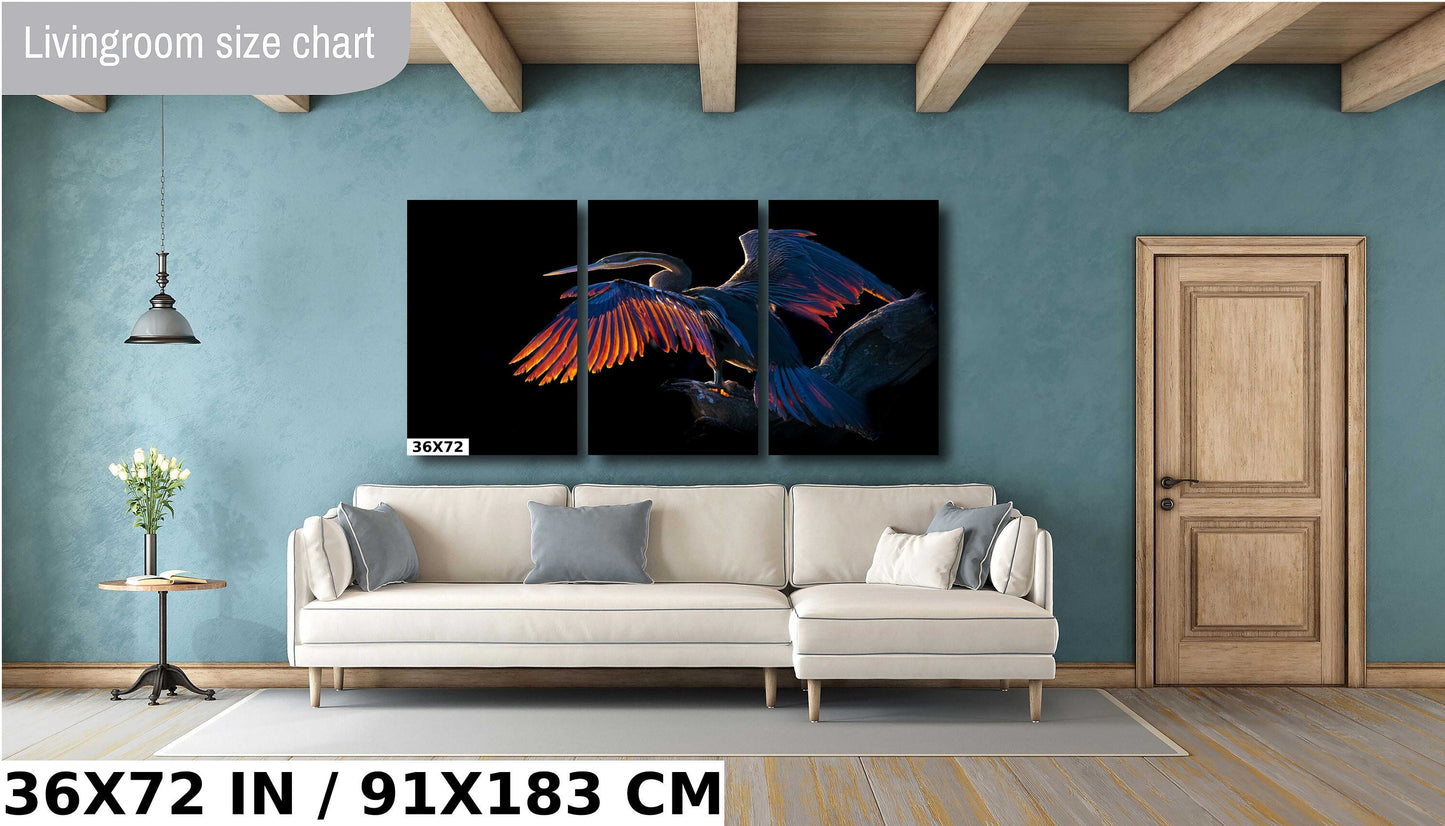 African Birds Poster Fine Art Photography | Cormorant Sunning in the African Morning Nature Print, Canvas Wildlife Wall Art | Bird Poster