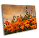 California Poppies Fine Art Photography | Antelope Valley Superbloom Canvas Wall Art | Flower Poster | Nature Picture | Poppy Flower Photo