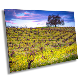 compare product Vineyard Fine Art Photography, California Spring Sonoma Wine Grapes & Mustard Photo | Winery Canvas Wall Art, Acrylic, Metal, Paper