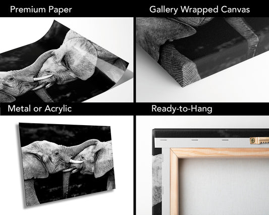 African Elephant Pair Greeting, Wildlife Photography, black & white, Nature Wall Art, Canvas Print, Fine Art Photography, Travel Poster