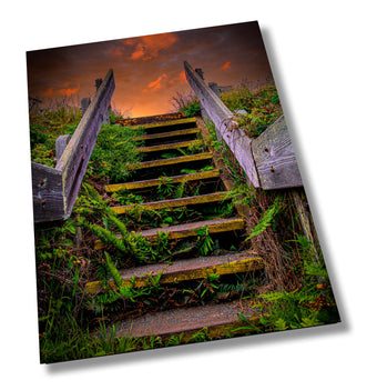 compare product Sonoma Coast Sunrise Stairs | Canvas Wall Art | California Scenic Landscape | home, wall decor | paper, canvas, acrylic