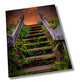 Sonoma Coast Sunrise Stairs | Canvas Wall Art | California Scenic Landscape | home, wall decor | paper, canvas, acrylic
