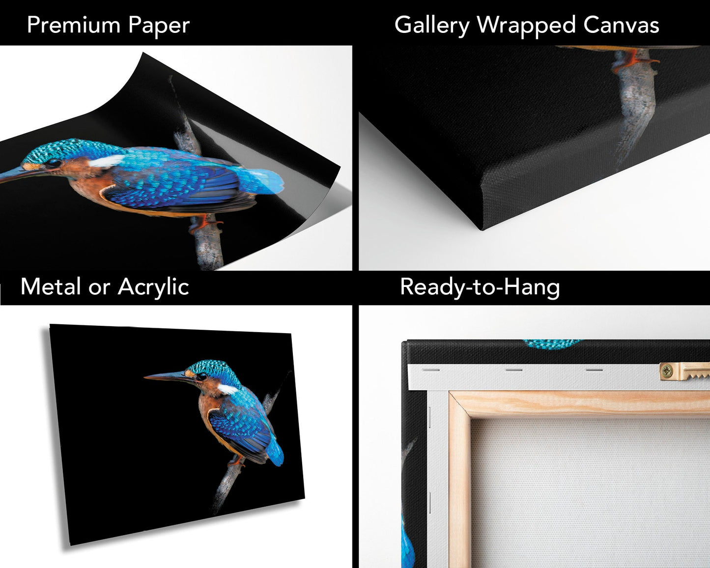 African Birds Poster | Malagasy Kingfisher Nature Print, Canvas Wildlife Wall Art | Fine Art Photography | home, office decor