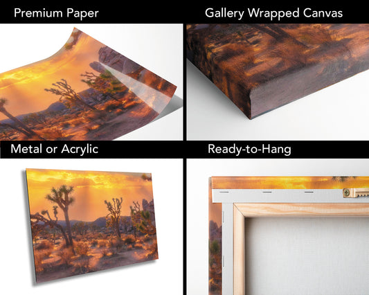 Joshua Tree Sunset Fine Art Photography | Desert Sunset Scenic Poster. Landscape Photo | National Park Nature Canvas Wall Art