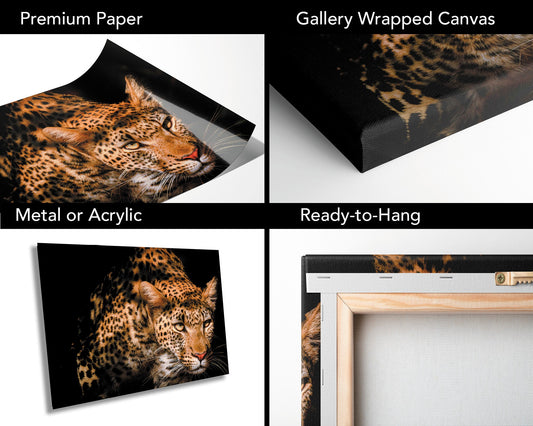 African Leopard Nature Wildlife Fine Art Photography | Big Cat Canvas Wall Art | Nature Poster | home, office decor paper, metal, acrylic