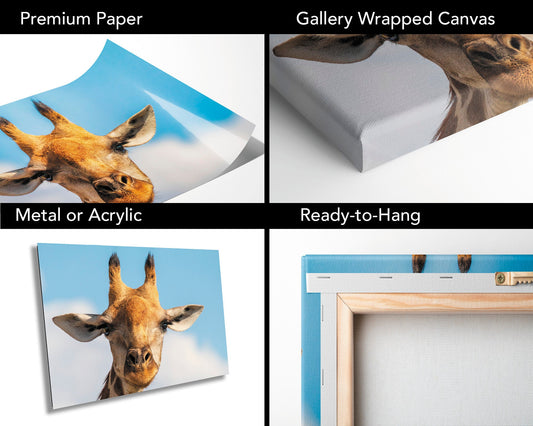 Giraffe Fine Art Photography, Wall Art, African Wildlife Picture, Nature Photo, Travel Poster, Animal Print | Kid's Room, Home, Office Decor