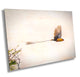 African Birds Fine Art photography | Pin-Tailed Whyda Print, Canvas Wildlife Wall Art, South Africa Bird Poster, home, office picture