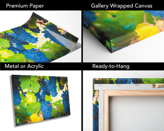 Vineyard Fine Art Photography | California Ripe Wine Grapes Photo | Winery Canvas Wall Art Poster | Vineyard Print, Acrylic, Metal, Paper