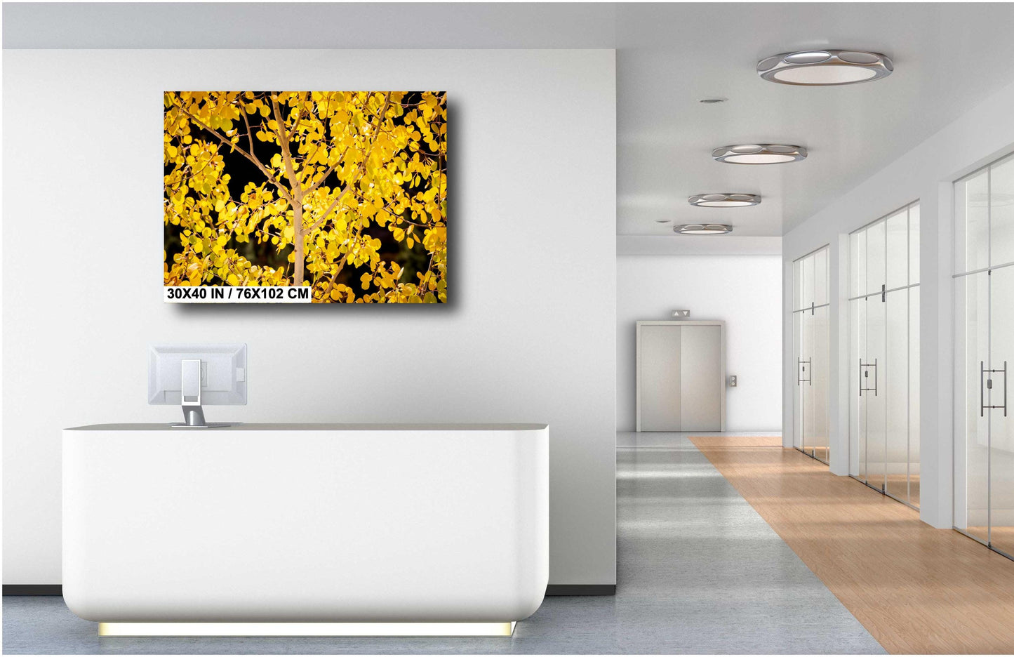 Colorado's Iconic Aspen Trees Fine Art Photo | Golden Fall Colors Print | Canvas Wall Art | Travel Picture paper, acrylic, metal