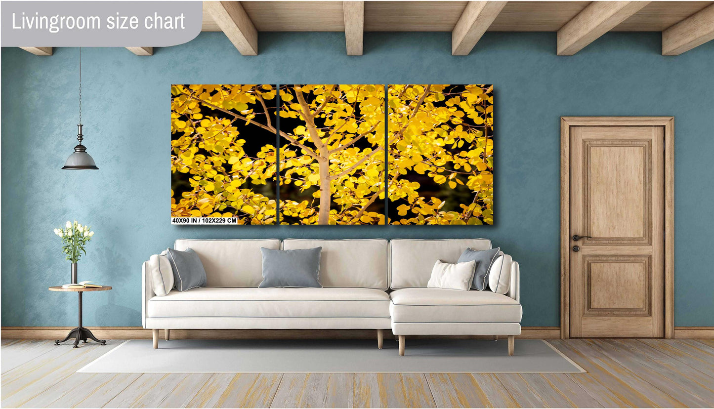 Colorado's Iconic Aspen Trees Fine Art Photo | Golden Fall Colors Print | Canvas Wall Art | Travel Picture paper, acrylic, metal