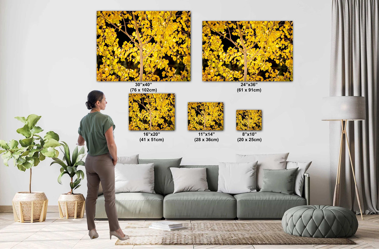 Colorado's Iconic Aspen Trees Fine Art Photo | Golden Fall Colors Print | Canvas Wall Art | Travel Picture paper, acrylic, metal