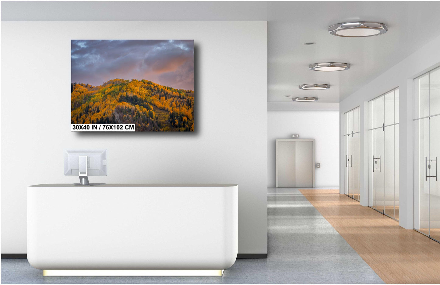 Colorado's Iconic Aspen Hillside Fine Art Photo | Rocky Mountain Sunset Fall Colors | Canvas Wall Art | Travel Picture paper, acrylic, metal