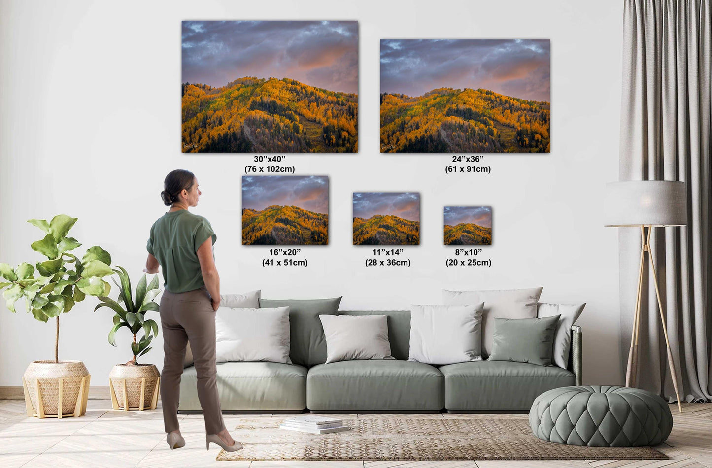 Colorado's Iconic Aspen Hillside Fine Art Photo | Rocky Mountain Sunset Fall Colors | Canvas Wall Art | Travel Picture paper, acrylic, metal