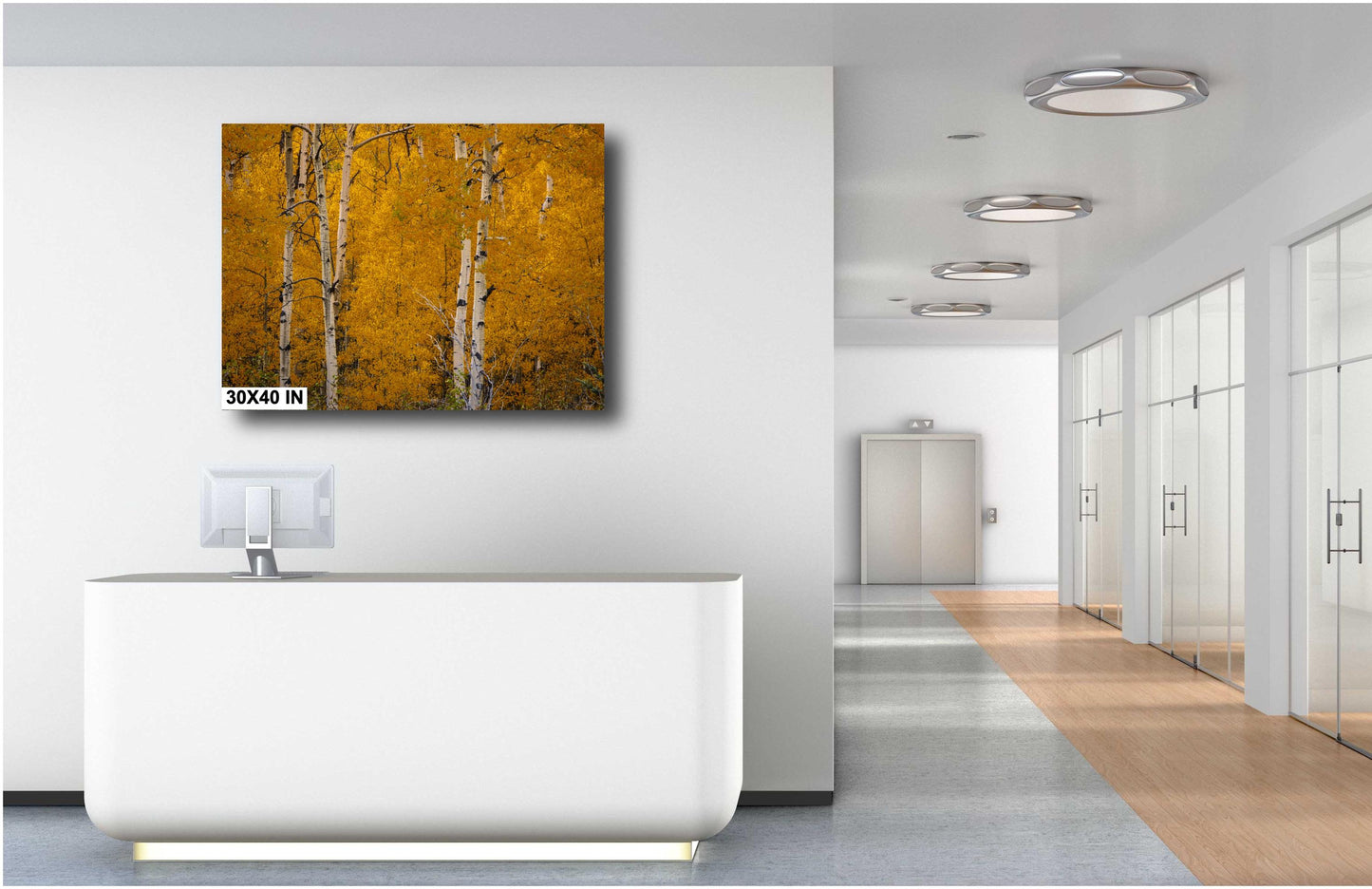 Colorado's Iconic Aspen Forest Fine Art Photo | Golden Fall Leaves Colors Print | Canvas Wall Art | Travel Picture paper, acrylic, metal