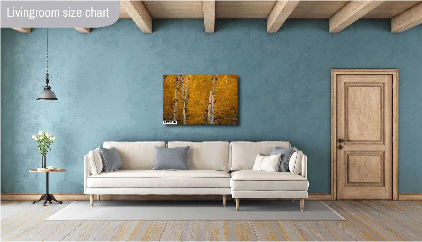 Colorado's Iconic Aspen Forest Fine Art Photo | Golden Fall Leaves Colors Print | Canvas Wall Art | Travel Picture paper, acrylic, metal
