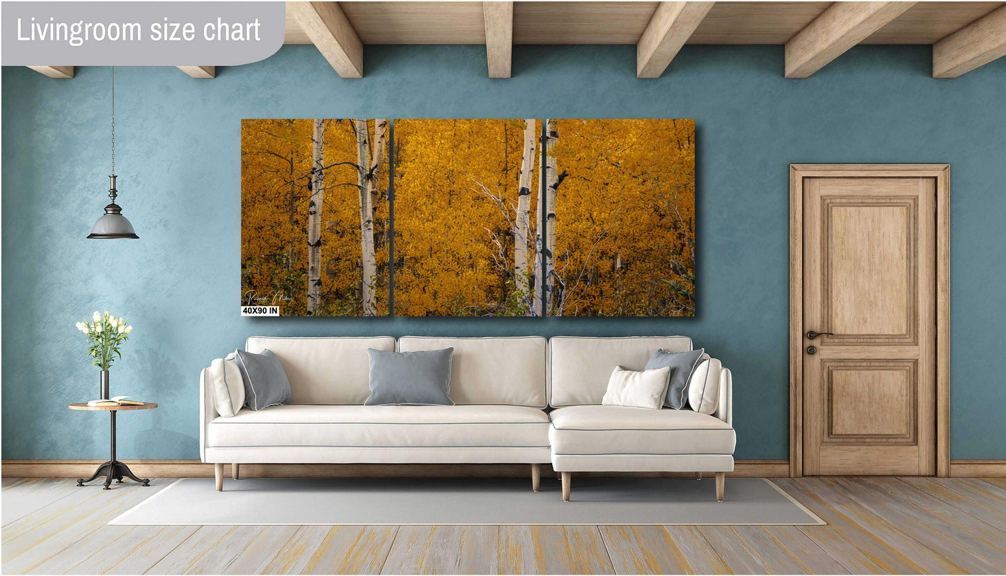 Colorado's Iconic Aspen Forest Fine Art Photo | Golden Fall Leaves Colors Print | Canvas Wall Art | Travel Picture paper, acrylic, metal