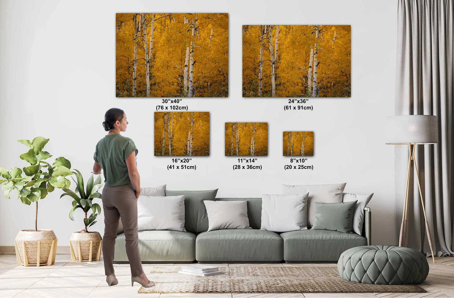Colorado's Iconic Aspen Forest Fine Art Photo | Golden Fall Leaves Colors Print | Canvas Wall Art | Travel Picture paper, acrylic, metal